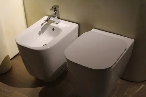 Bidet-Installation--in-Hampton-Georgia-bidet-installation-hampton-georgia.jpg-image