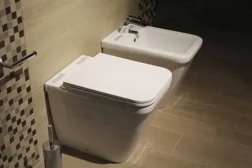 Bidet-Repair--in-Locust-Grove-Georgia-bidet-repair-locust-grove-georgia.jpg-image