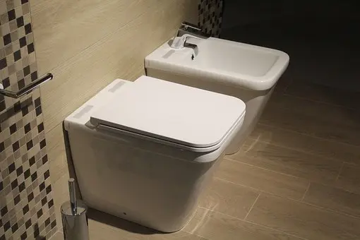 Bidet-Repair--bidet-repair.jpg-image